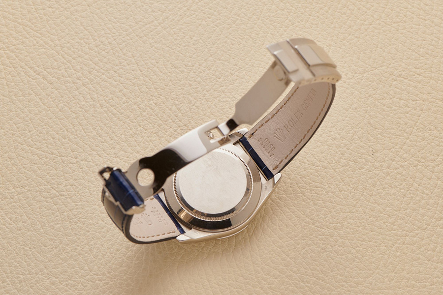 16519 Daytona Sodalite