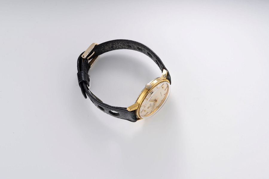 Seamaster Gold Plated