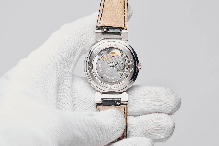 Bi-Retrograde Perpetual Calendar Moon Phase