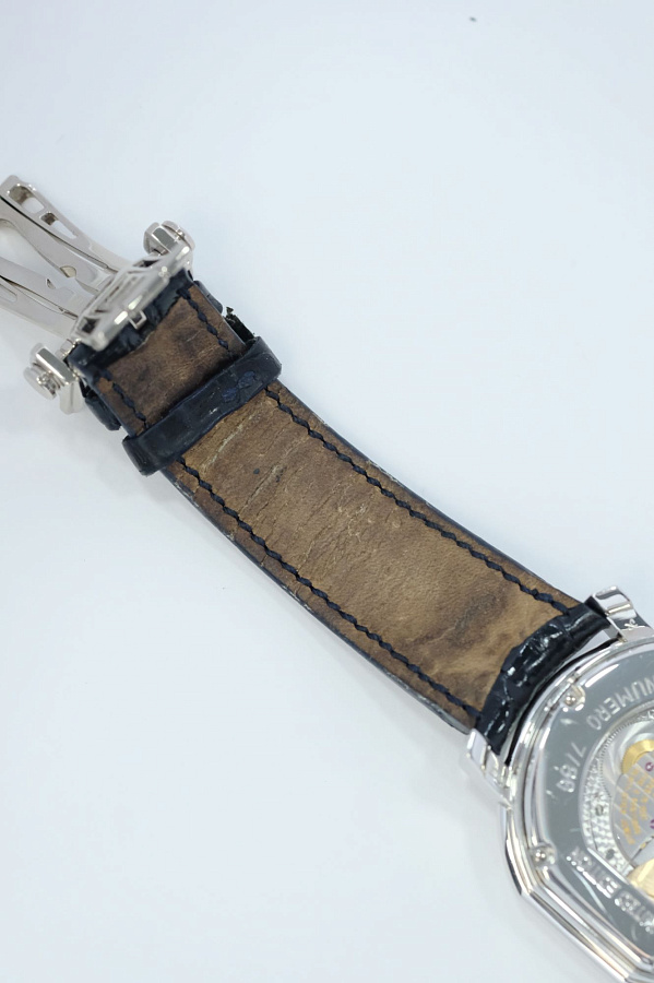 Academie Ellipsocurvex Papillon Platinum Limited Edition