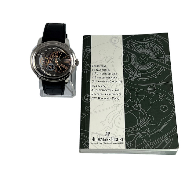 Millenary 4101 in stainless steel