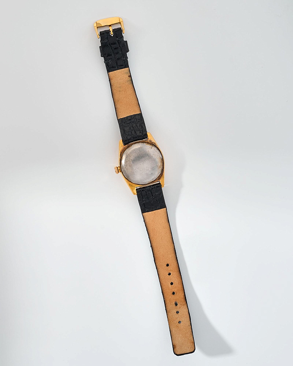 Bubbleback 2940