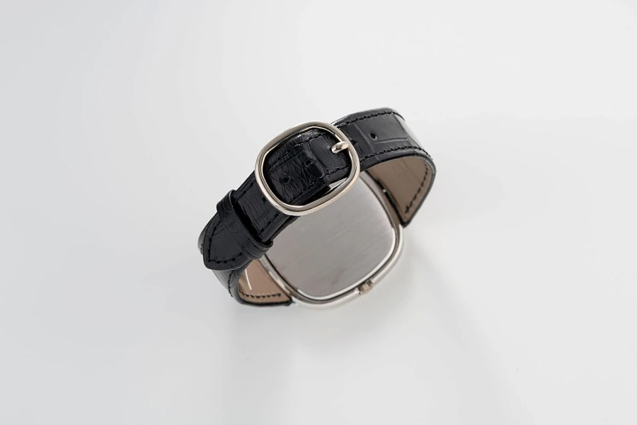 Cushion Case Ellipse Ref. 3604 in 18k White Gold